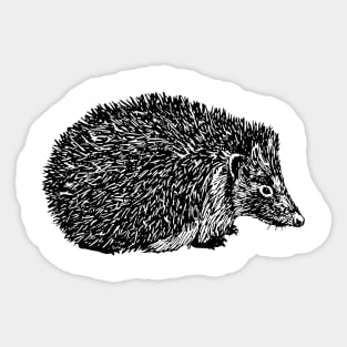 Hedgehog Sticker